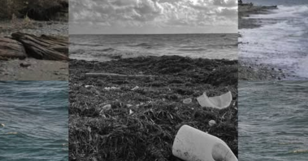 Rathtrevor Beach Clean Up- Surfrider Mid Island
