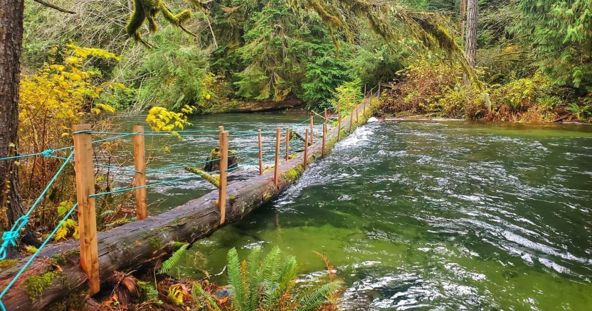 Top Things to Do in Fall - Visit Parksville Qualicum Beach