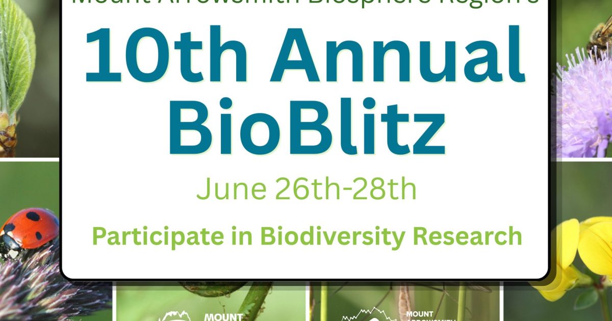 10th Annual MABR BioBlitz