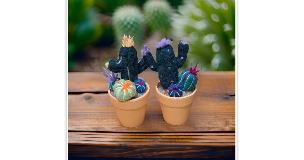 Felted Cactus Workshop