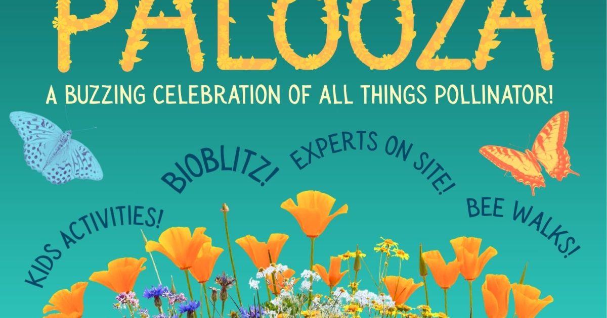 Pollinator Palooza: Buzzing Celebration of All Things Pollinator
