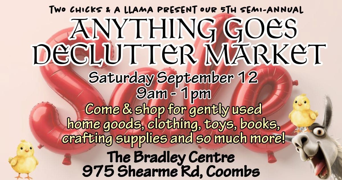 Anything Goes Declutter Market by Two Chicks and a Llama