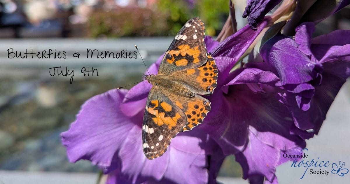 Butterflies & Memories