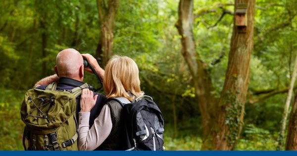 Birding Walk