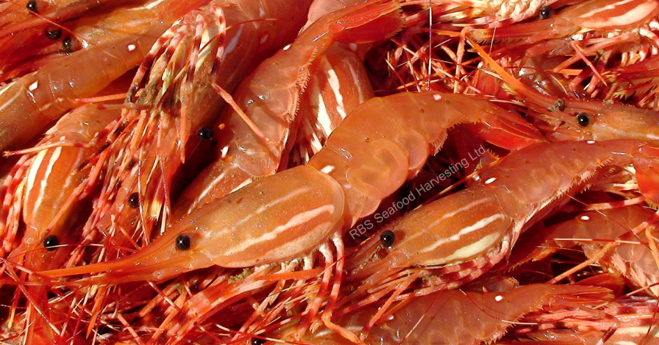 West Coast Seafood Celebration at Truffle Farm Parksville