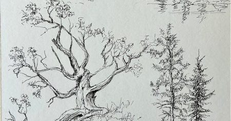 Art Bites - Trees All Around Us! with Jim Sears