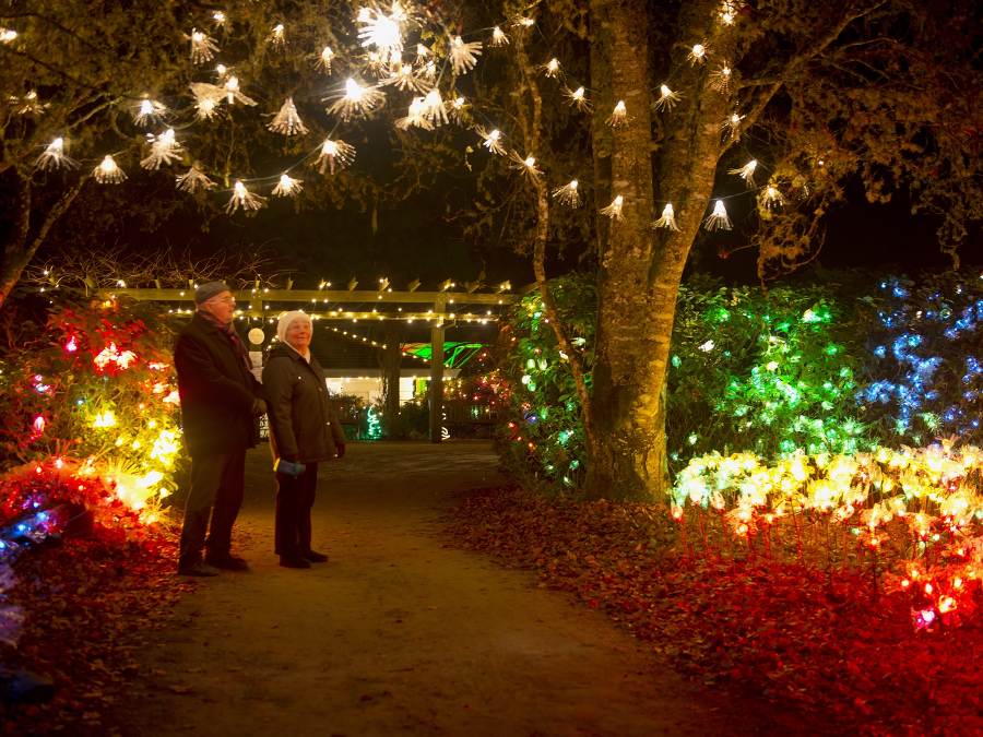 Two people stand in a pathway as they admire colorful holiday lights in trees and on the ground at Milner Christmas Magic.
