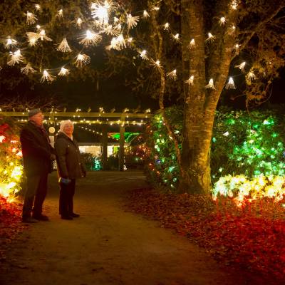 Two people stand in a pathway as they admire colorful holiday lights in trees and on the ground at Milner Christmas Magic.
