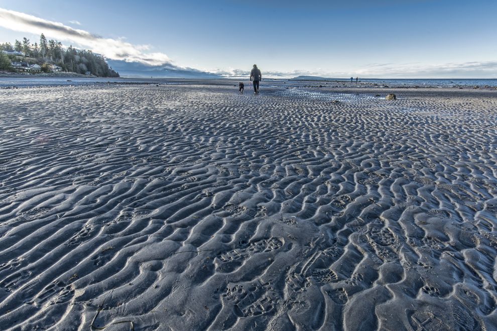 a person walks along Qualicum Beach at low tide