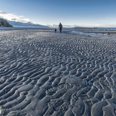 a person walks along Qualicum Beach at low tide