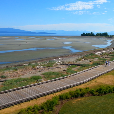 An aerial view of the boardwalk by Parksville Beach with surrounding greenery.