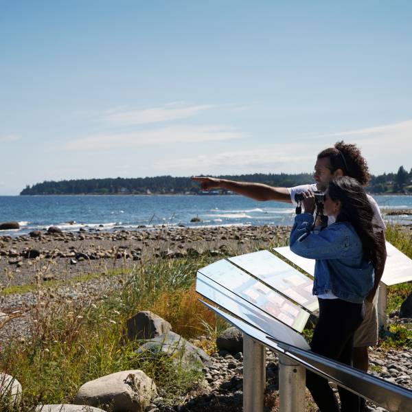 A woman looks through binoculars as a man points at the Brant Viewing Area on Qualicum Beach.