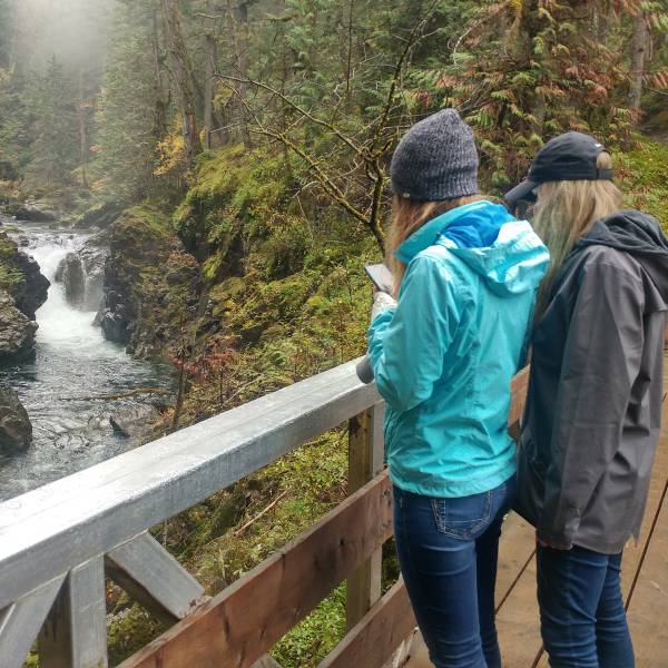 Friends take pictures on a bridge at Little Qualicum Falls Provincial Park.