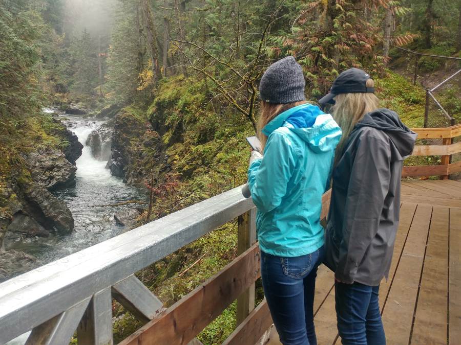 Friends take pictures on a bridge at Little Qualicum Falls Provincial Park.