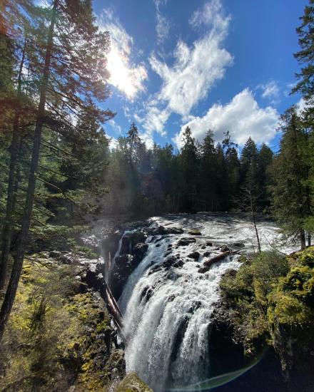 A waterfall surrounded by evergreen trees at Englishman River Falls Provincial Park.