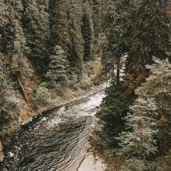 The Englishman River cuts through evergreen trees in Englishman River Falls Provincial Park on Vancouver Island