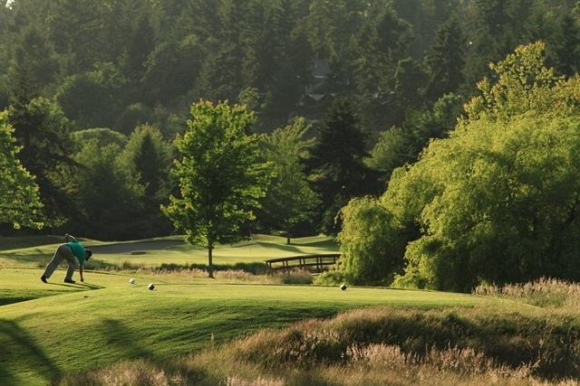 Lush greenery at the Fairwinds Golf Club golf course in Nanoose Bay.