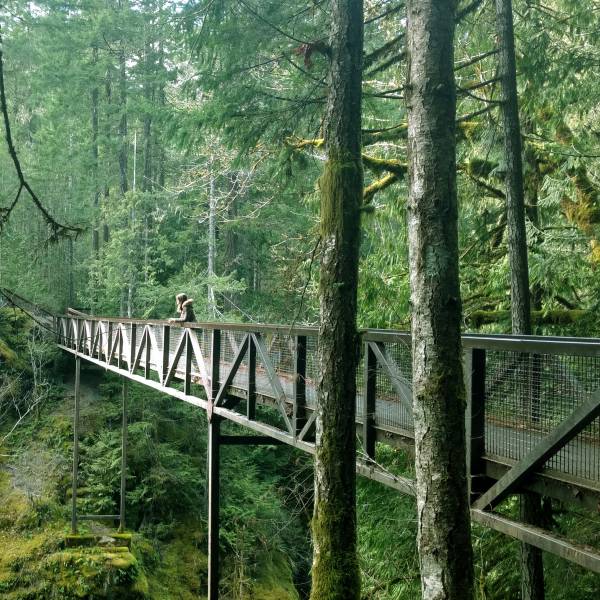 Wooden bridge cutting through a lush forest at Englishman River Falls Provincial Park on Vancouver Island