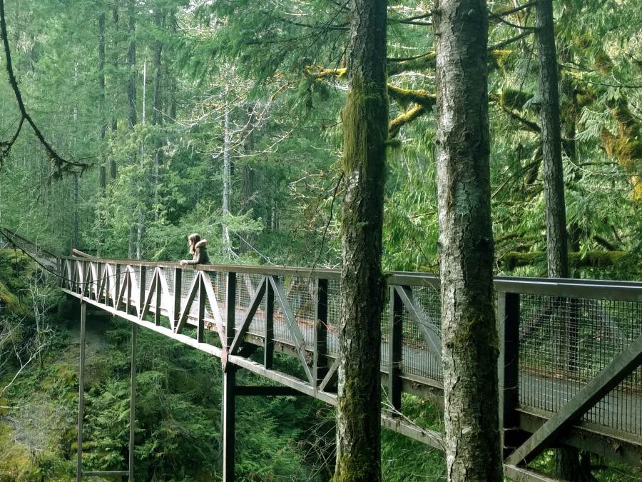 Wooden bridge cutting through a lush forest at Englishman River Falls Provincial Park on Vancouver Island