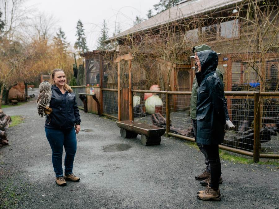 An employee at North Island Wildlife Recovery Centre holds an owl as two people look on.
