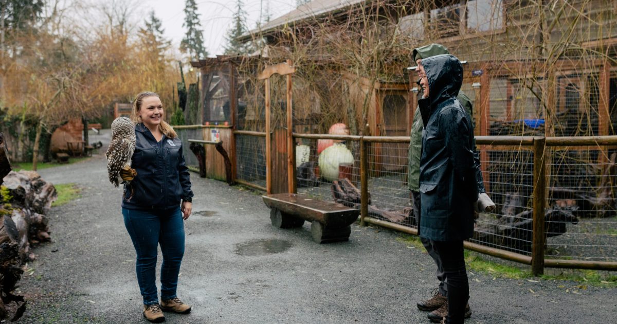 Escape To Paradise: Unlocking The Secrets Of Nott Island Wildlife Refuge