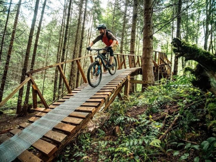 Cook creek mountain hotsell biking