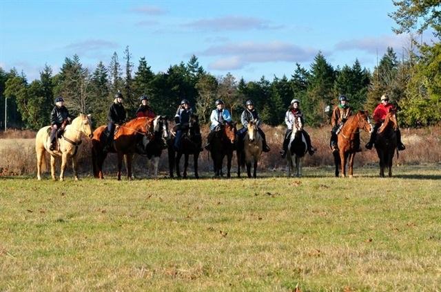 riders lined up on horses at Paradise Acres Ranch in Nanoose Bay