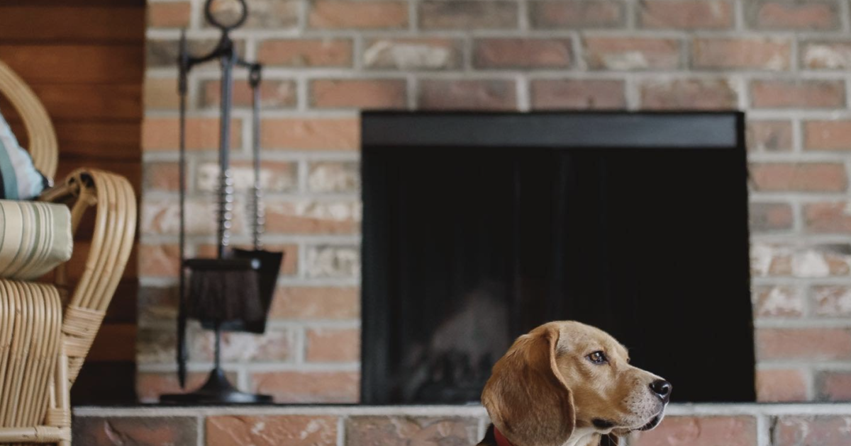 Guide to PetFriendly Hotels & Resorts Parksville Qualicum Beach Tourism