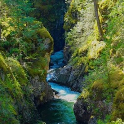 Little Qualicum Falls Provincial Park