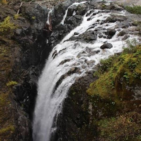 Englishman River Falls Provincial Park
