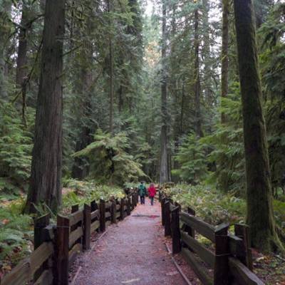 MacMillan Provincial Park