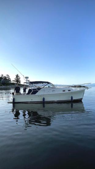 The Haida Gold is a luxurious, comfortable cruiser