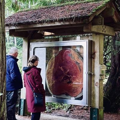 A pair of friends look at an infographic at the Qualicum Beach Heritage Forest.