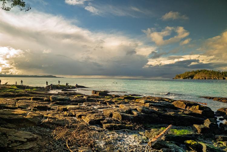 A group of people viewing the herring spawn from land in Nanoose, BC