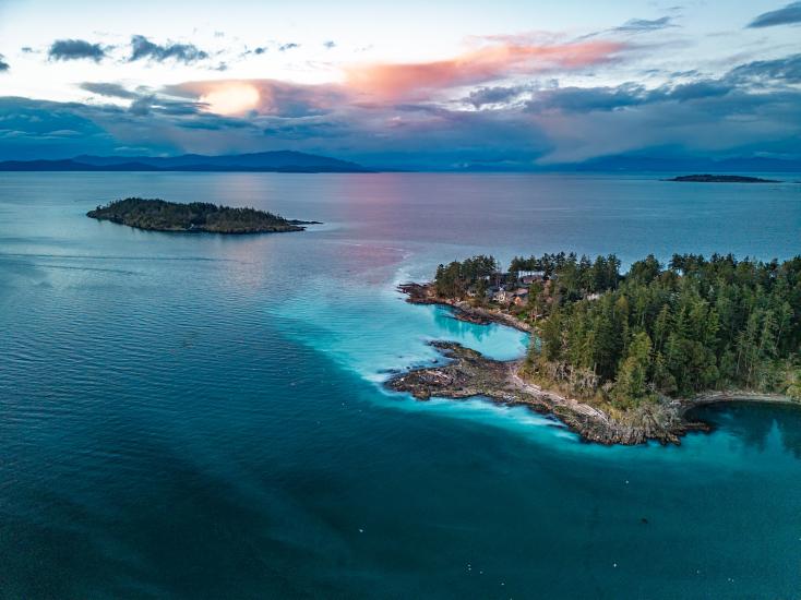 Herring Spawn from above in Nanoose Bay, BC