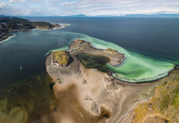 Aerial view of a Herring Spawn in Nanaimo BC