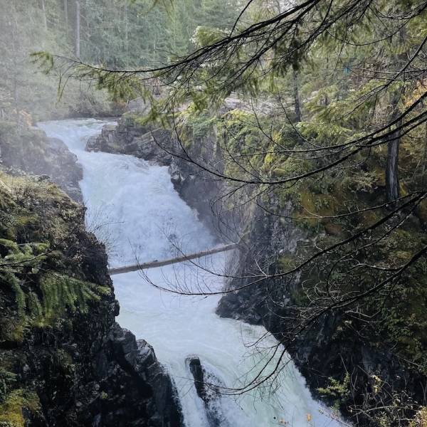 The cascading water of Englishman River Falls.