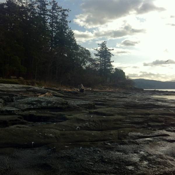 A tidal pool at Beachcomber shoreline in Nanoose Bay, Vancouver Island.