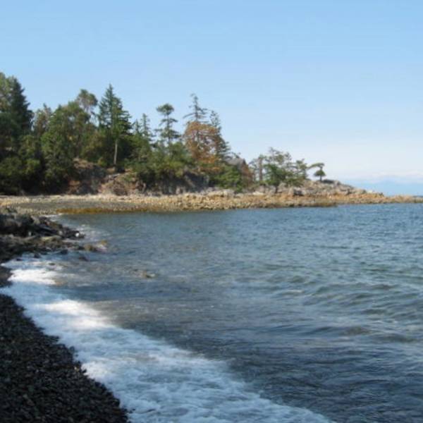 A tide pool at Brickyard Bay in Nanoose Bay, Vancouver Island.
