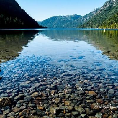 Cameron Lake shore view