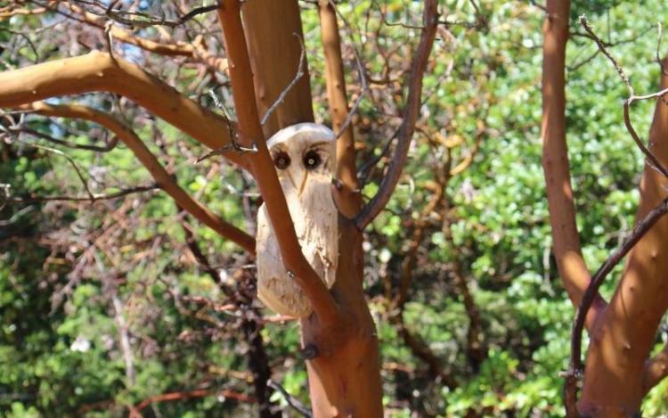A carved owl in a tree