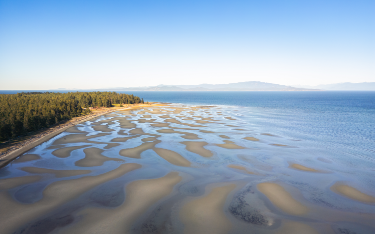 An aerial view of Tigh-Na-Mara's expansive beach, tide pools and sand bars during low tide.