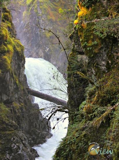 Little Qualicum Waterfall