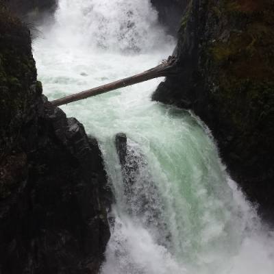 white water rushes along the falls at Little Qualicum Falls Provincial Park