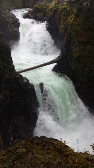 white water rushes along the falls at Little Qualicum Falls Provincial Park