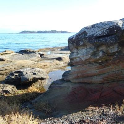 A Madrona Point boulder in Parksville Qualicum Beach, Vancouver Island.