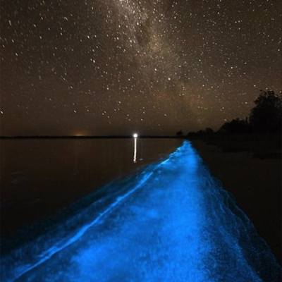 Ocean glows blue, illuminating the shore due to bioluminescence in Parksville Qualicum Beach. milky way is in the night sky