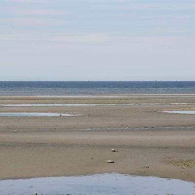 Low tide at Parksville Beach. Tide pools are scattered along the sandy beach and the ocean is visible in the distance