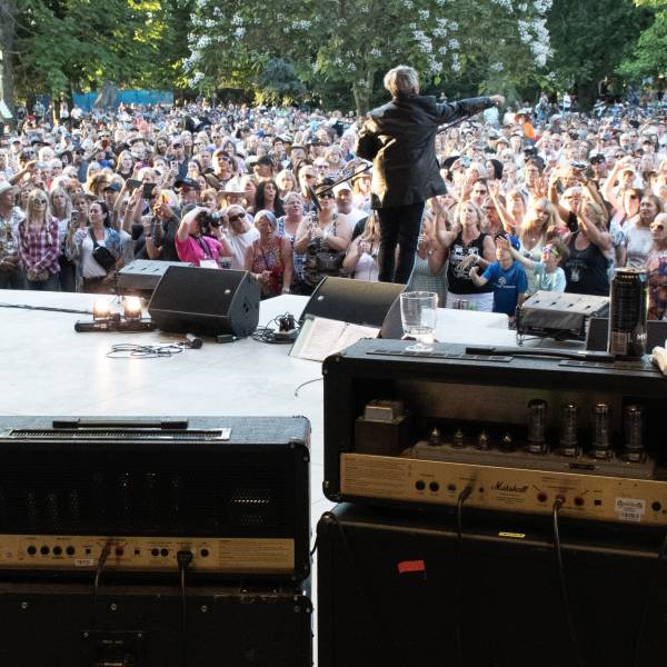 Taken from Backstage, looking out into a large crowd with performers standing on stage and music equipment in the foreground.