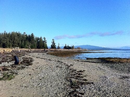 autumn rathtrevor beach